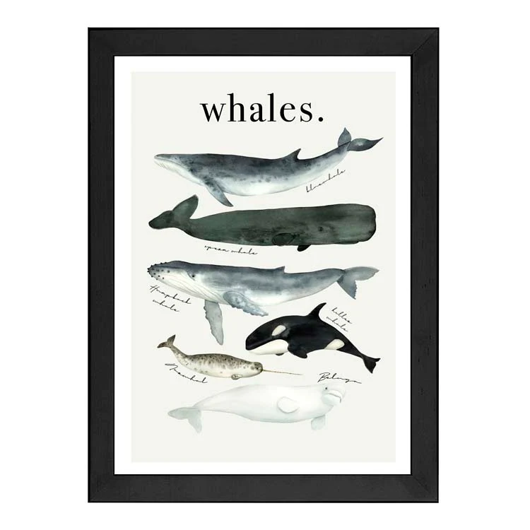 WATERCOLOUR WHALES PRINT - Image 6