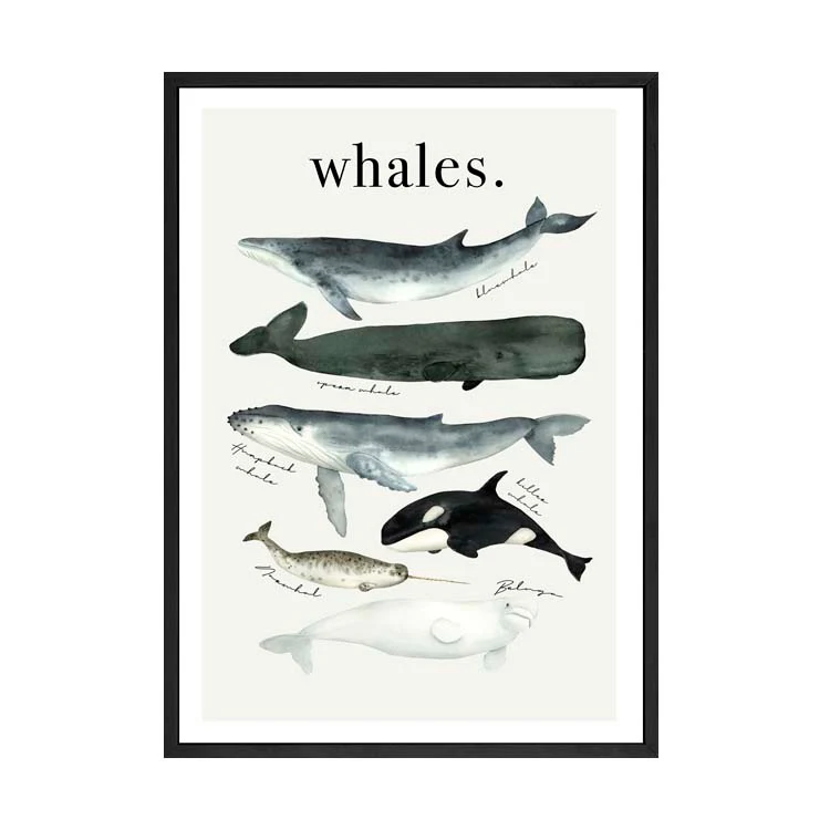 WATERCOLOUR WHALES PRINT - Image 7