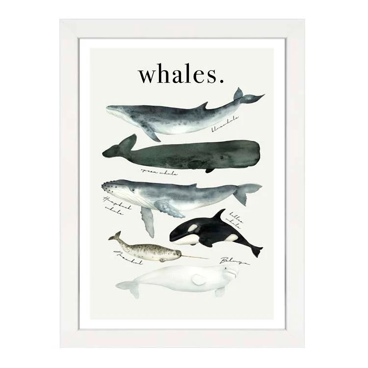 WATERCOLOUR WHALES PRINT - Image 8