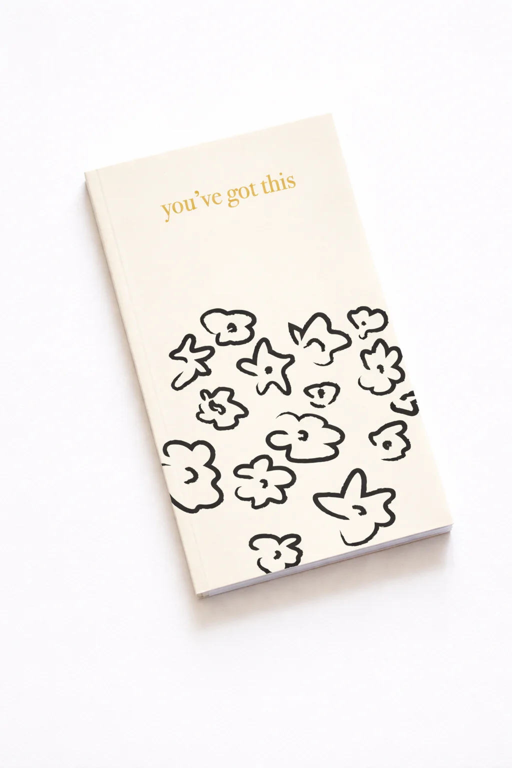 You've got this - Notebook